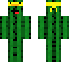 headband cactus