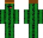 sgt cactus