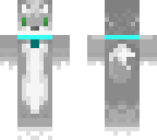 dog with collar on