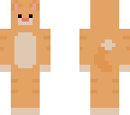 cute cat