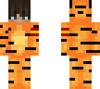 tiger boy