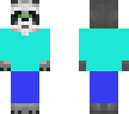 racoon boy
