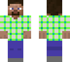 steve with checkered shirt experiment