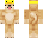 sasnasnid