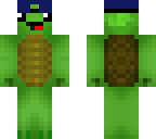 nice turtle