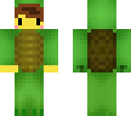 the turtle