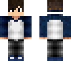 typical minecraft skin