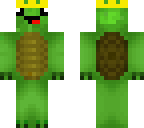 derped 0n turtle