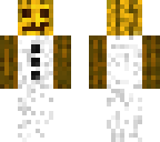 snow golem with hidden face