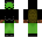 stealth turtle