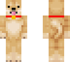 cute dog with dogcharm