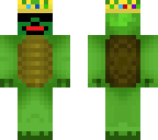 cool turtle
