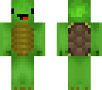 turtle