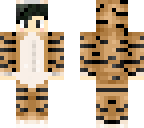 aeru tiger