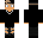 chip v2