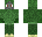 militar