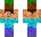 mini steve