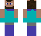 upside down steve