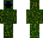camouflage