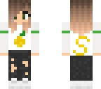 styley fan skin