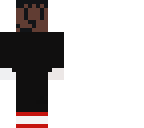 chace the hedgehog