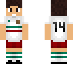 luasmexicorusia2018