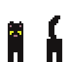 black cat with yellow eyes