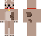 dogplayslife2