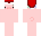 chrismas pig