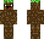 dirt skin