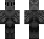 black winter knight