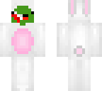 buni turtle