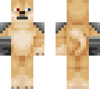 doge 3 v2