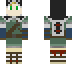 botw link
