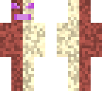nether vs end ender dragon