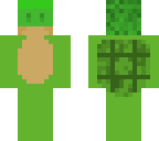 turtle god