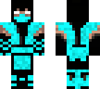 ice ninja
