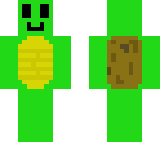 a turtle