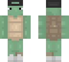 skater turtle
