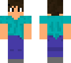 the new steve