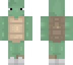omtoi turtle