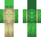 113 turtle
