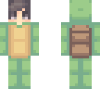 turtle