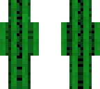 derp cactus