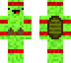 raphael derp turtle