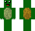 turtle dude