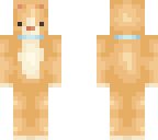 orange cat skin
