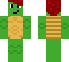 turtle guy