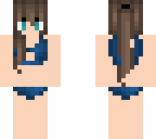 swimsuit - alice