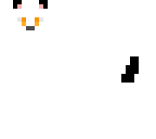 2 color cat